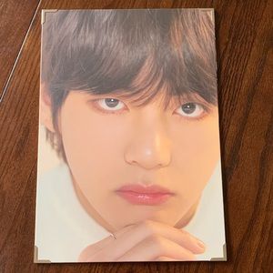 BTS World Tour: Love Yourself Speak Yourself Portrait - V